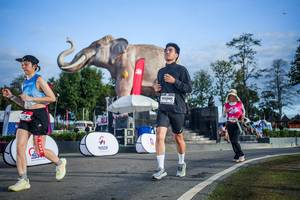 BIB: 
                            <button type="button" onclick="openModal(26541976)" class="btn btn-primary btn-sm float-right btn-popup" data-toggle="modal" data-target=".modal-high-quality">
                        <i class="fas fa-shopping-cart"></i> Add to Cart
                    </button>
                                            <button type="button" onclick="isThisMe(26541976, true)" class="btn btn-success btn-sm float-right btn-popup btn-isme hidden" data-toggle="tooltip" data-placement="bottom" title="นี่คือรูปของคุณใช่ไหม คลิกที่นี่เพื่อเอาเข้าอัลบั้ม">
                        <i class="fas fa-plus"></i> Add to album
                    </button>
                    <button type="button" onclick="isThisMe(26541976, false)" class="btn btn-warning btn-sm float-right btn-popup btn-isnotme hidden">
                        <i class="fas fa-ban"></i> Remove from album
                    </button>